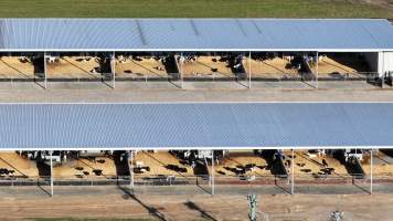 Leppington Pastoral Drone Shots - Captured at Leppington Pastoral Company, Greendale NSW Australia.