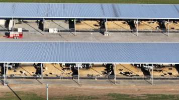default - Captured at Leppington Pastoral Company, Greendale NSW Australia.