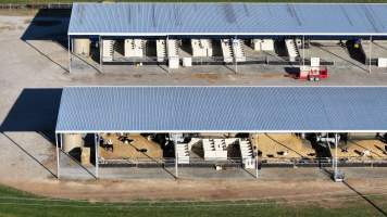 default - Captured at Leppington Pastoral Company, Greendale NSW Australia.