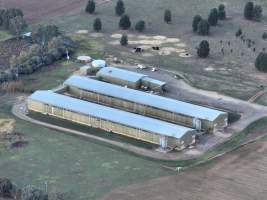 default - Captured at Pace Battery Hens, Hopefield NSW Australia.