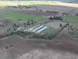 default - Captured at Pace Battery Hens, Hopefield NSW Australia.