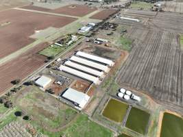 Captured at Bridgewater Poultry (Egg) Farm, Bridgewater VIC Australia.