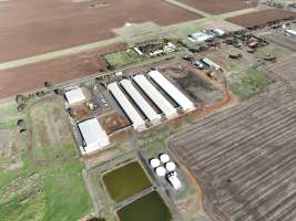 Captured at Bridgewater Poultry (Egg) Farm, Bridgewater VIC Australia.