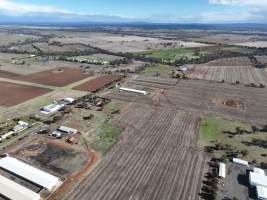 Captured at Bridgewater Poultry (Egg) Farm, Bridgewater VIC Australia.