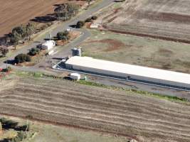 Captured at Bridgewater Poultry (Egg) Farm, Bridgewater VIC Australia.