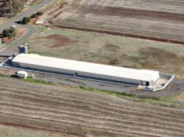 Captured at Bridgewater Poultry (Egg) Farm, Bridgewater VIC Australia.