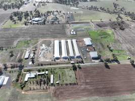 Captured at Bridgewater Poultry (Egg) Farm, Bridgewater VIC Australia.