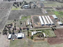 Captured at Bridgewater Poultry (Egg) Farm, Bridgewater VIC Australia.