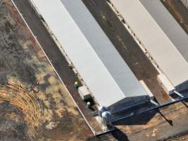 Captured at Bridgewater Poultry (Egg) Farm, Bridgewater VIC Australia.
