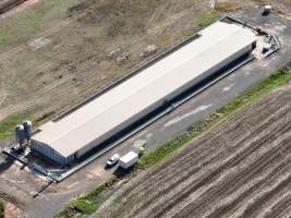 Captured at Bridgewater Poultry (Egg) Farm, Bridgewater VIC Australia.