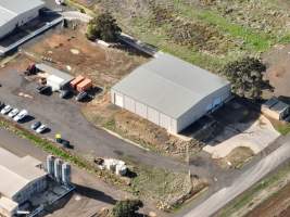 Captured at Bridgewater Poultry (Egg) Farm, Bridgewater VIC Australia.