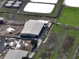 Captured at Bridgewater Poultry (Egg) Farm, Bridgewater VIC Australia.