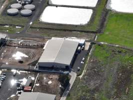 Captured at Bridgewater Poultry (Egg) Farm, Bridgewater VIC Australia.