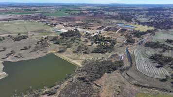 Gunnee Feedlot - Delungra NSW - Captured at Gunnee Feedlot, Delungra NSW Australia.