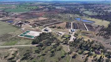 Gunnee Feedlot - Delungra NSW - Captured at Gunnee Feedlot, Delungra NSW Australia.