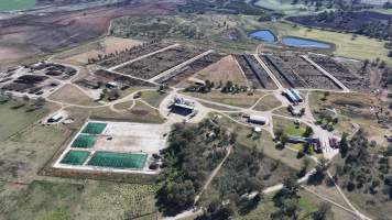 Gunnee Feedlot - Delungra NSW - Captured at Gunnee Feedlot, Delungra NSW Australia.