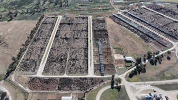 Gunnee Feedlot - Delungra NSW - Captured at Gunnee Feedlot, Delungra NSW Australia.