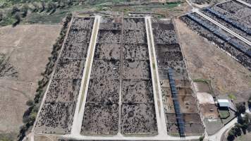 Gunnee Feedlot - Delungra NSW - Captured at Gunnee Feedlot, Delungra NSW Australia.