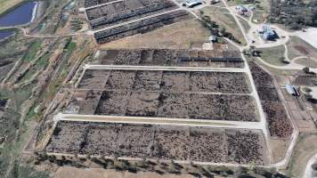Gunnee Feedlot - Delungra NSW - Captured at Gunnee Feedlot, Delungra NSW Australia.