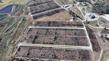 Gunnee Feedlot - Delungra NSW - Captured at Gunnee Feedlot, Delungra NSW Australia.