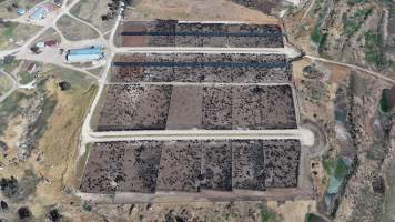 Gunnee Feedlot - Delungra NSW - Captured at Gunnee Feedlot, Delungra NSW Australia.