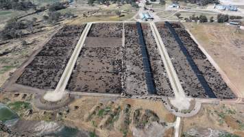 Gunnee Feedlot - Delungra NSW - Captured at Gunnee Feedlot, Delungra NSW Australia.