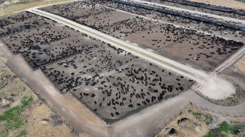 Gunnee Feedlot - Delungra NSW - Captured at Gunnee Feedlot, Delungra NSW Australia.