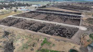 Gunnee Feedlot - Delungra NSW - Captured at Gunnee Feedlot, Delungra NSW Australia.