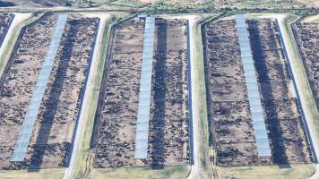 Myola Feedlot - North Star NSW - Captured at Myola Feedlot, North Star NSW Australia.