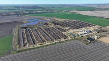 Myola Feedlot - North Star NSW - Captured at Myola Feedlot, North Star NSW Australia.