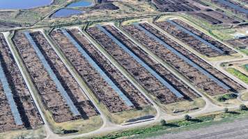 Myola Feedlot - North Star NSW - Captured at Myola Feedlot, North Star NSW Australia.