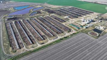 Myola Feedlot - North Star NSW - Captured at Myola Feedlot, North Star NSW Australia.