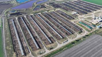 Myola Feedlot - North Star NSW - Captured at Myola Feedlot, North Star NSW Australia.