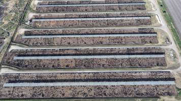 Myola Feedlot - North Star NSW - Captured at Myola Feedlot, North Star NSW Australia.