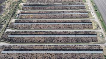 Myola Feedlot - North Star NSW - Captured at Myola Feedlot, North Star NSW Australia.