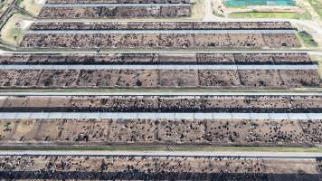 Myola Feedlot - North Star NSW - Captured at Myola Feedlot, North Star NSW Australia.