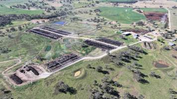 Nullamunna Feedlot - Inverell NSW - Captured at Nullamanna Feedlot, Nullamanna NSW Australia.