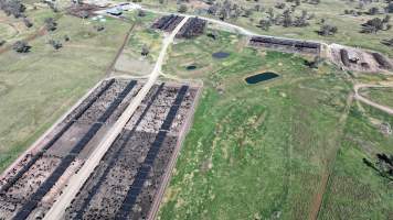 Nullamunna Feedlot - Inverell NSW - Captured at Nullamanna Feedlot, Nullamanna NSW Australia.