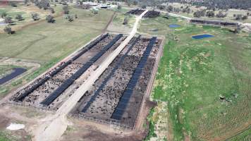 Nullamunna Feedlot - Inverell NSW - Captured at Nullamanna Feedlot, Nullamanna NSW Australia.