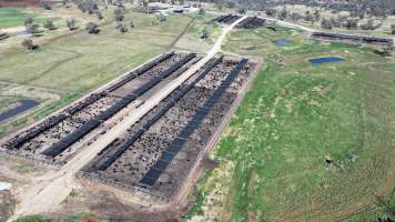 Nullamunna Feedlot - Inverell NSW - Captured at Nullamanna Feedlot, Nullamanna NSW Australia.