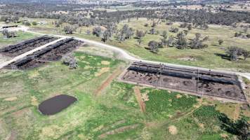 Nullamunna Feedlot - Inverell NSW - Captured at Nullamanna Feedlot, Nullamanna NSW Australia.