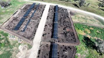 Nullamunna Feedlot - Inverell NSW - Captured at Nullamanna Feedlot, Nullamanna NSW Australia.