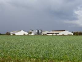 Real estate listing photo - Photo of piggery from a 2015 real estate listing (https://www.realestate.com.au/sold/property-livestock-sa-eudunda-7679119). - Captured at Brownlow Piggery, Brownlow SA Australia.