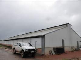 Real estate listing photo - Photo of piggery from a 2015 real estate listing (https://www.realestate.com.au/sold/property-livestock-sa-eudunda-7679119). - Captured at Brownlow Piggery, Brownlow SA Australia.