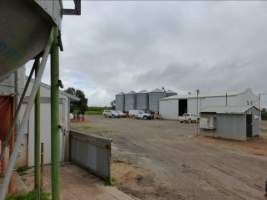 Real estate listing photo - Photo of piggery from a 2015 real estate listing (https://www.realestate.com.au/sold/property-livestock-sa-eudunda-7679119). - Captured at Brownlow Piggery, Brownlow SA Australia.