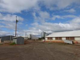 Real estate listing photo - Photo of piggery from a 2015 real estate listing (https://www.realestate.com.au/sold/property-livestock-sa-eudunda-7679119). - Captured at Brownlow Piggery, Brownlow SA Australia.