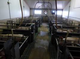 Real estate listing photo - Photo of piggery from a 2015 real estate listing (https://www.realestate.com.au/sold/property-livestock-sa-eudunda-7679119). - Captured at Brownlow Piggery, Brownlow SA Australia.
