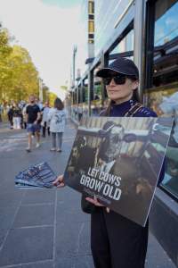 Mother's Day: Dominion Outreach Melbourne: 11 May 2025 - Animal rights activists participating in a street outreach event in Southbank, Victoria, Australia. Volunteers give out free vegan treats, show footage from Farm Transparency Project’s dairy investigations, and engage the public in conversations, bringing awareness to the hidden reality of what happens to cows, calves, and bulls in the Australian dairy industry. - Captured at VIC.