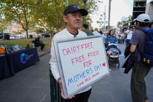 Mother's Day: Dominion Outreach Melbourne: 11 May 2025 - Animal rights activists participating in a street outreach event in Southbank, Victoria, Australia. Volunteers give out free vegan treats, show footage from Farm Transparency Project’s dairy investigations, and engage the public in conversations, bringing awareness to the hidden reality of what happens to cows, calves, and bulls in the Australian dairy industry. - Captured at VIC.