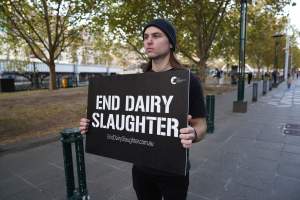 Mother's Day: Dominion Outreach Melbourne: 11 May 2025 - Animal rights activists participating in a street outreach event in Southbank, Victoria, Australia. Volunteers give out free vegan treats, show footage from Farm Transparency Project’s dairy investigations, and engage the public in conversations, bringing awareness to the hidden reality of what happens to cows, calves, and bulls in the Australian dairy industry. - Captured at VIC.